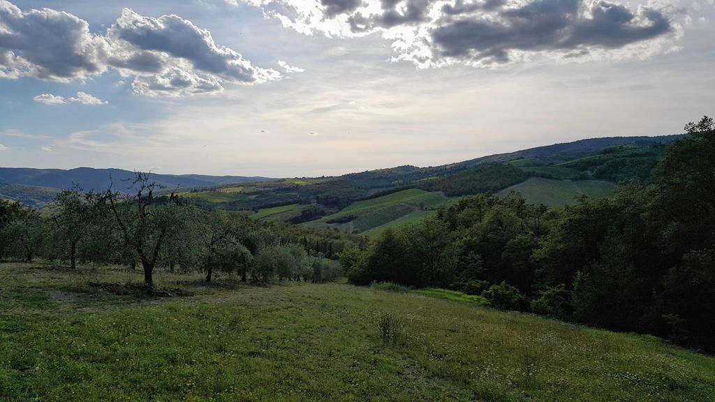 Holiday House Le Selvole Radda in Chianti Buitenkant foto