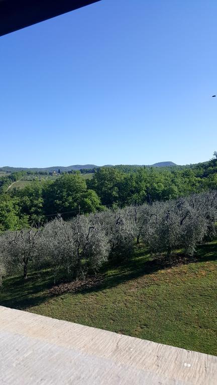 Holiday House Le Selvole Radda in Chianti Buitenkant foto