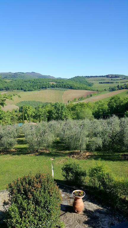 Holiday House Le Selvole Radda in Chianti Buitenkant foto