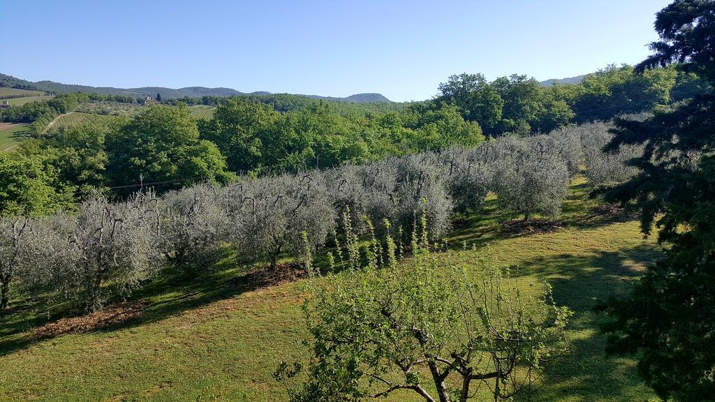 Holiday House Le Selvole Radda in Chianti Buitenkant foto