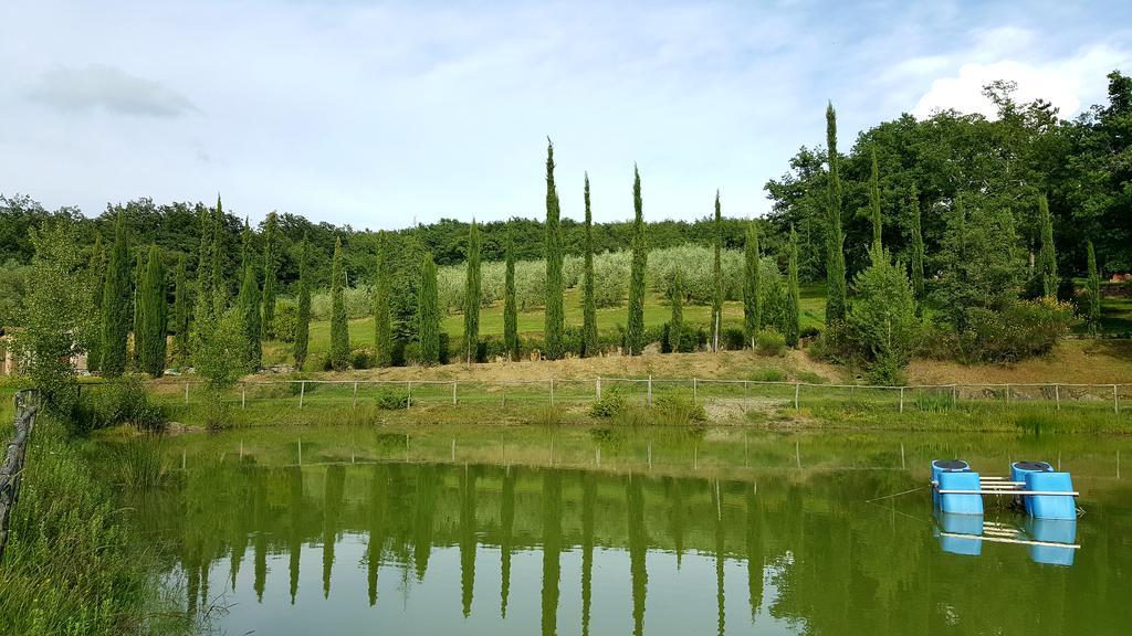 Holiday House Le Selvole Radda in Chianti Buitenkant foto